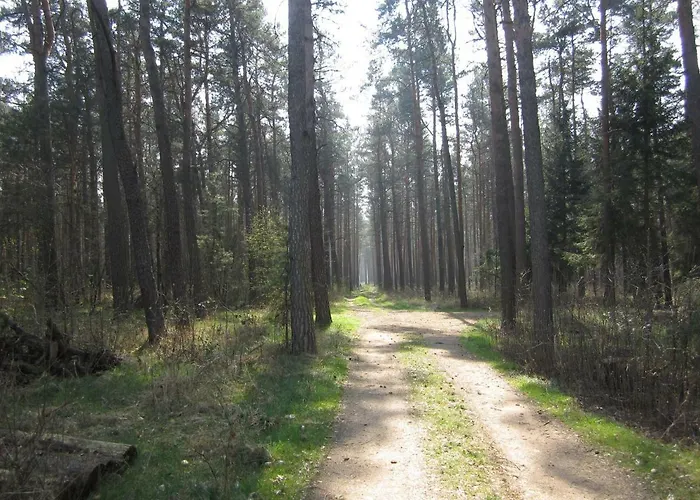 Hotel apartamentowy Boardinghouse 4*